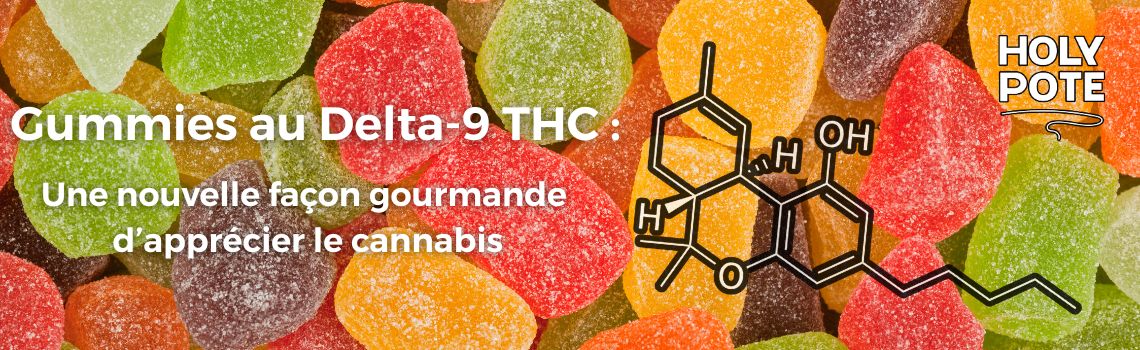 🍬 Gummies au Delta-9 THC : L'expérience douce et savoureuse du cannabis moderne